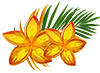 graphic of two plumeria flowers