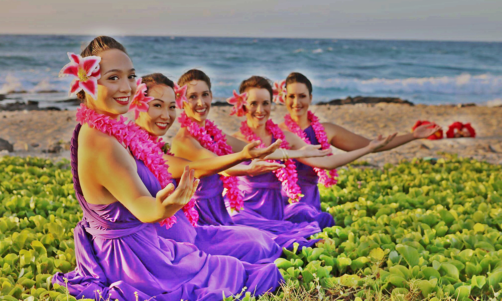 hawaii idland hula company